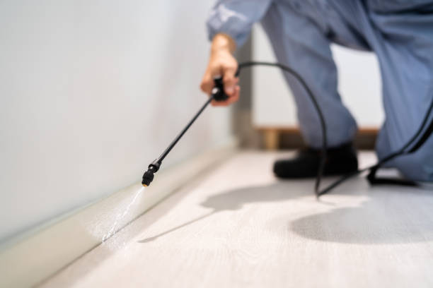 Licensed Cockroach Control service in Amelia, LA - Nex Pest Control