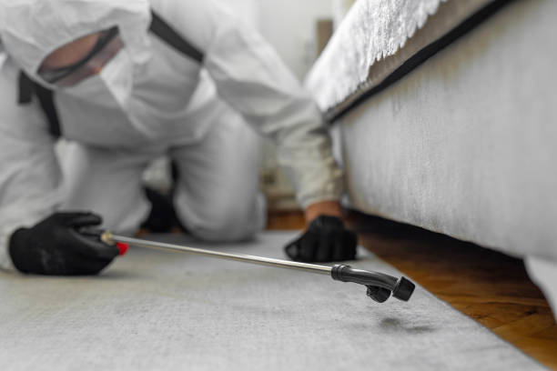 Professional Cockroach Control technician working in Amelia, LA