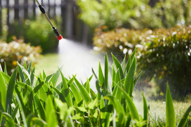 24/7 Emergency Cockroach Control experts in Amelia, LA