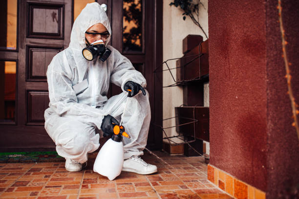 Reliable Cockroach Control contractor in Amelia, LA by Nex Pest Control