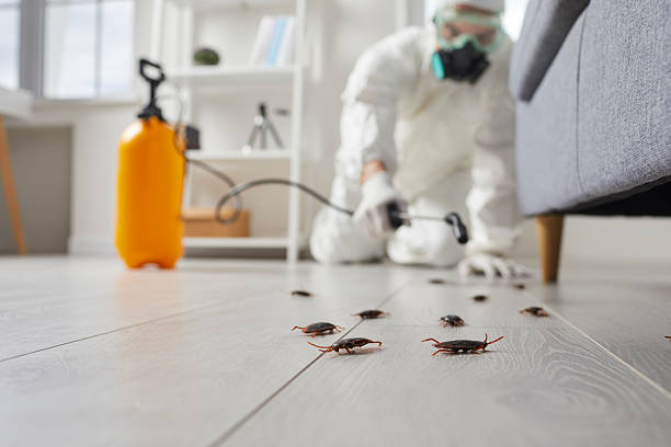 Affordable Cockroach Control solutions in Amelia, LA